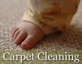 carpet cleaning